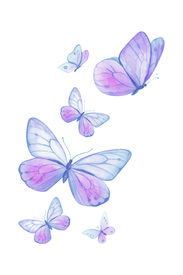 Janette Valoisie Butterflies